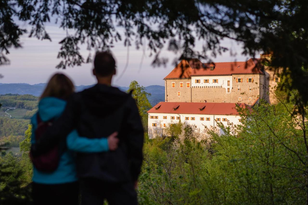 Rooms & Apartments Podsreda Castle Exterior photo